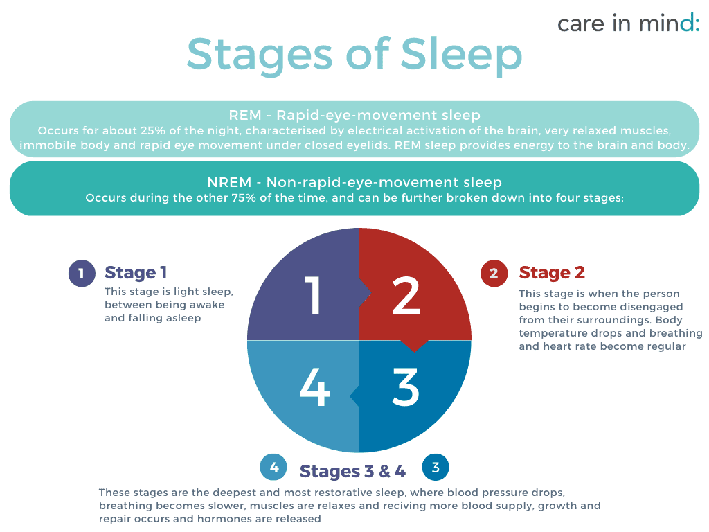 Infographic detailing stages of sleep
